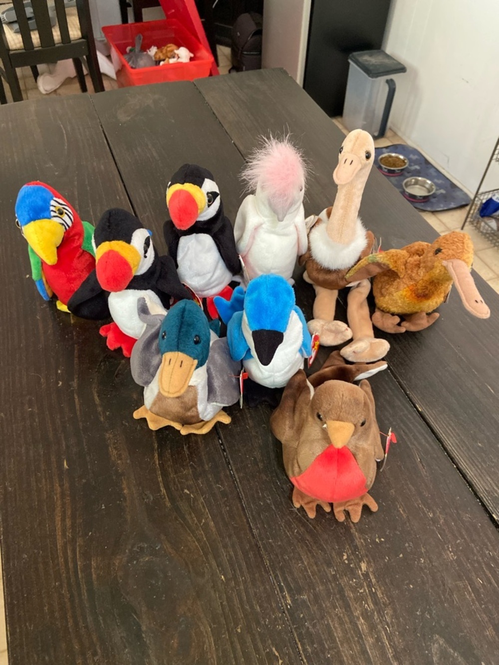 Ty Beanie Baby Plush Bird Toy Collection lot of 9 - Assorted Colors